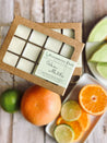 Citrus Melon Wax Melts